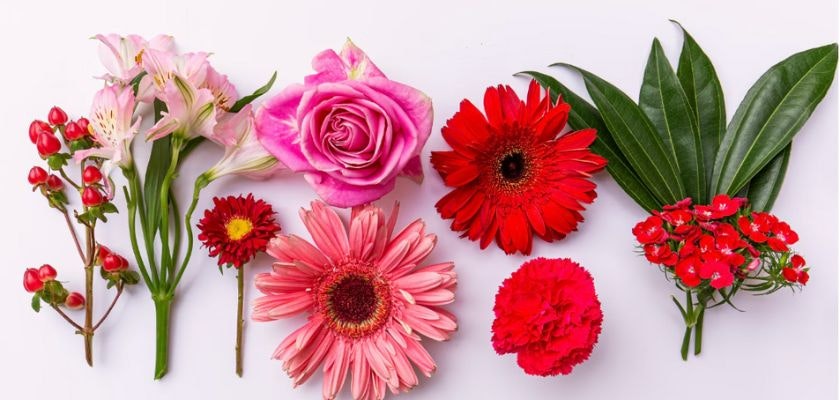 Vibrant floral arrangement featuring pink roses, red gerberas, and lush green leaves.