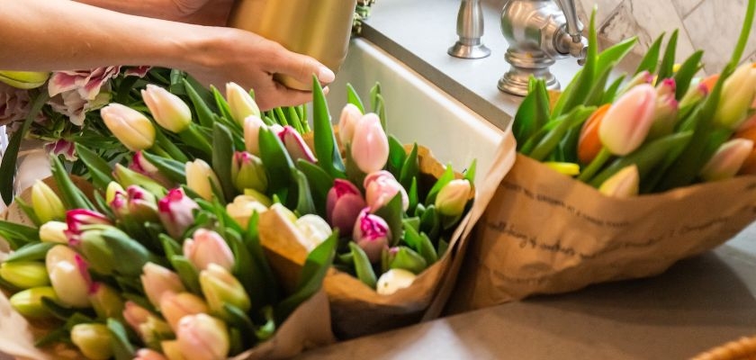 Freshly cut tulips in pink and white, beautifully arranged for a vibrant floral display.
