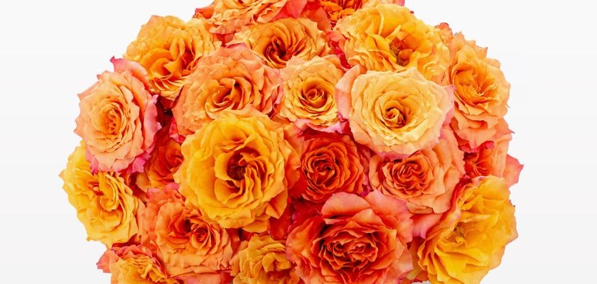Vibrant bouquet of orange and peach roses, creating a warm and cheerful floral display.