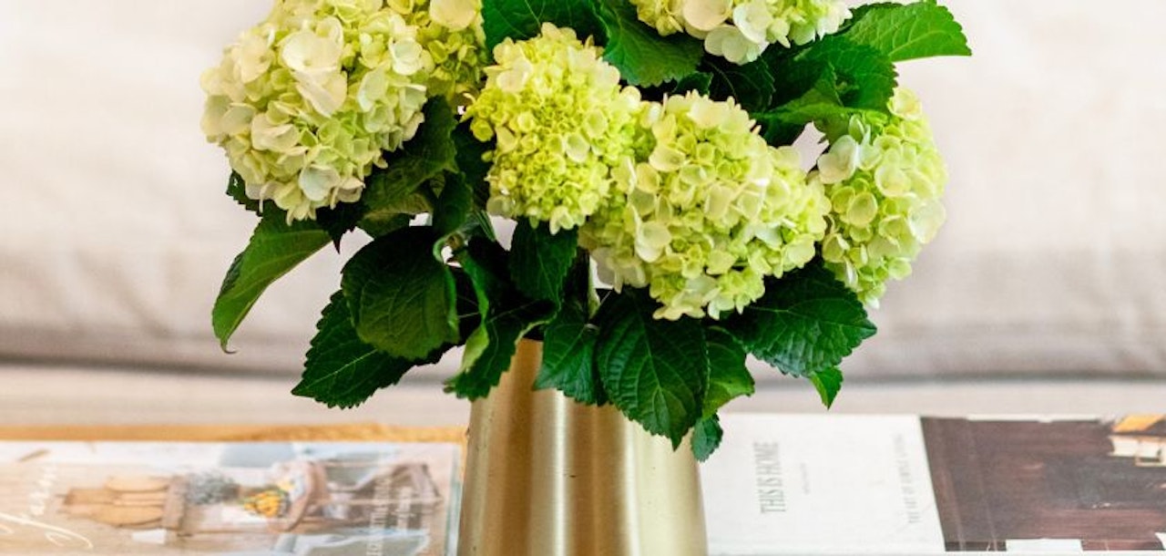 Elegant green hydrangea bouquet in a golden vase, perfect for home decor.