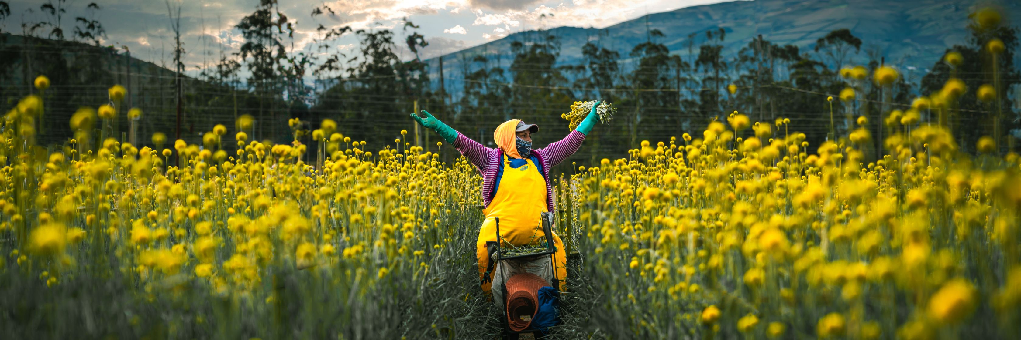 A joyful farmer surrounded by vibrant yellow flowers in a scenic field, celebrating the harvest.