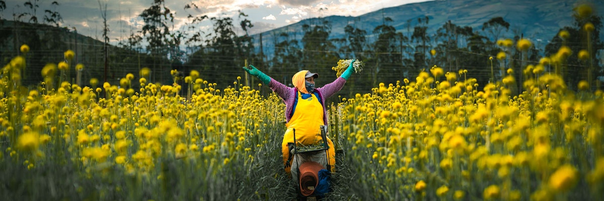 A joyful farmer surrounded by vibrant yellow flowers in a scenic field, celebrating the harvest.