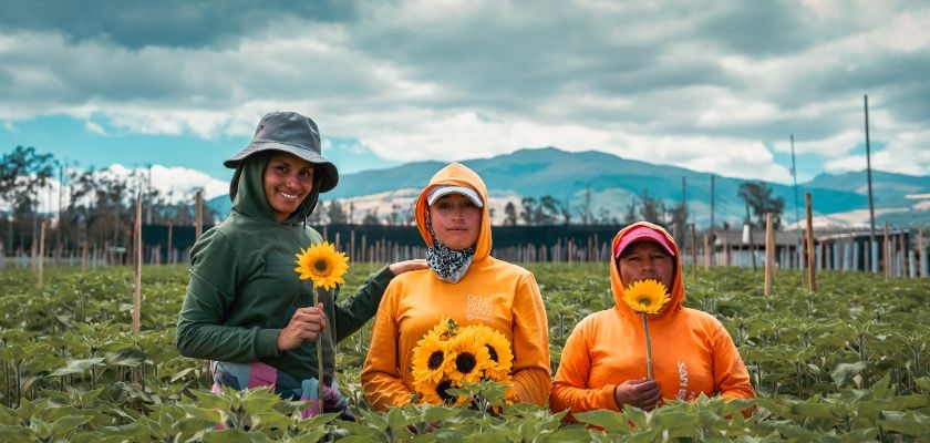 Three women in bright clothing hold sunflowers in a scenic field with mountains in the background.