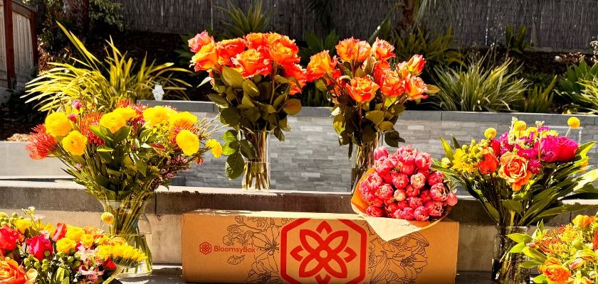 A vibrant display of colorful floral arrangements in various vases by BloomsyBox.