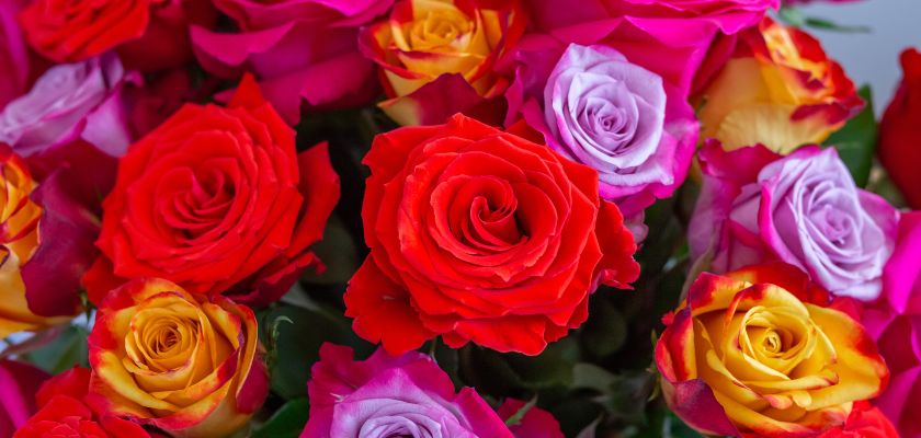 Vibrant mixed rose bouquet featuring red, pink, and yellow blooms, perfect for gifts.