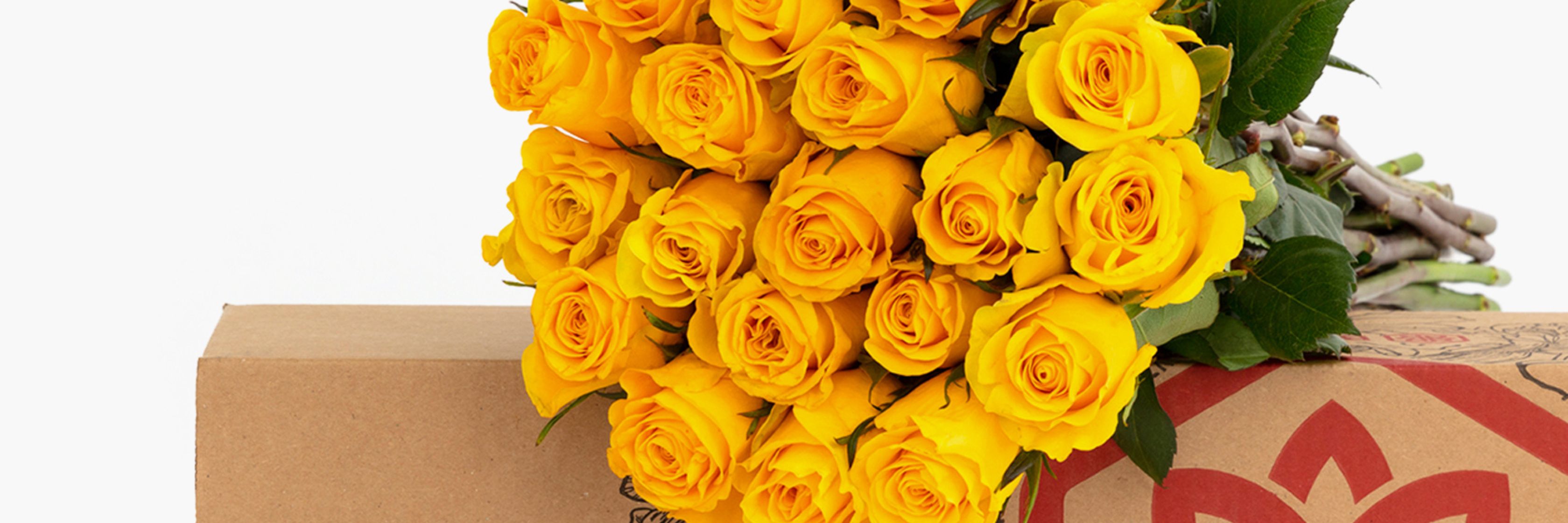 Bright yellow roses arranged elegantly, perfect for cheerful gifts and celebrations.