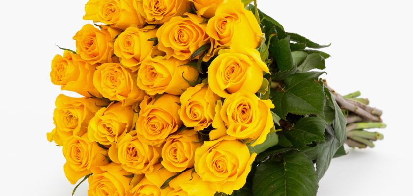 Vibrant bouquet of yellow roses with lush green foliage, ideal for cheerful celebrations.