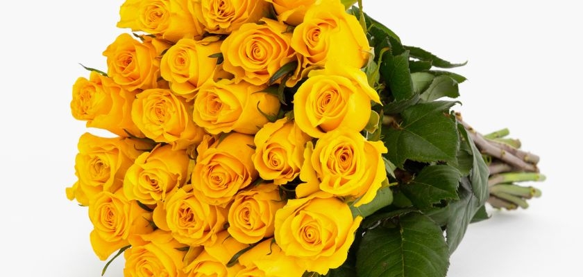 Vibrant bouquet of yellow roses with lush green foliage, ideal for cheerful celebrations.