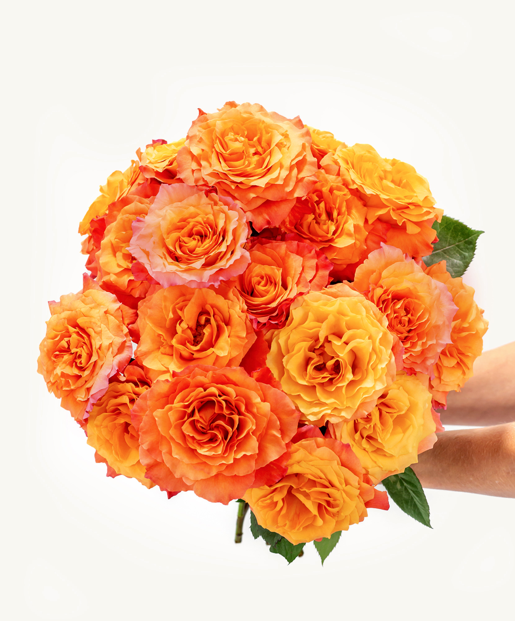 Vibrant orange and peach roses arranged in a stunning bouquet, perfect for celebrations.