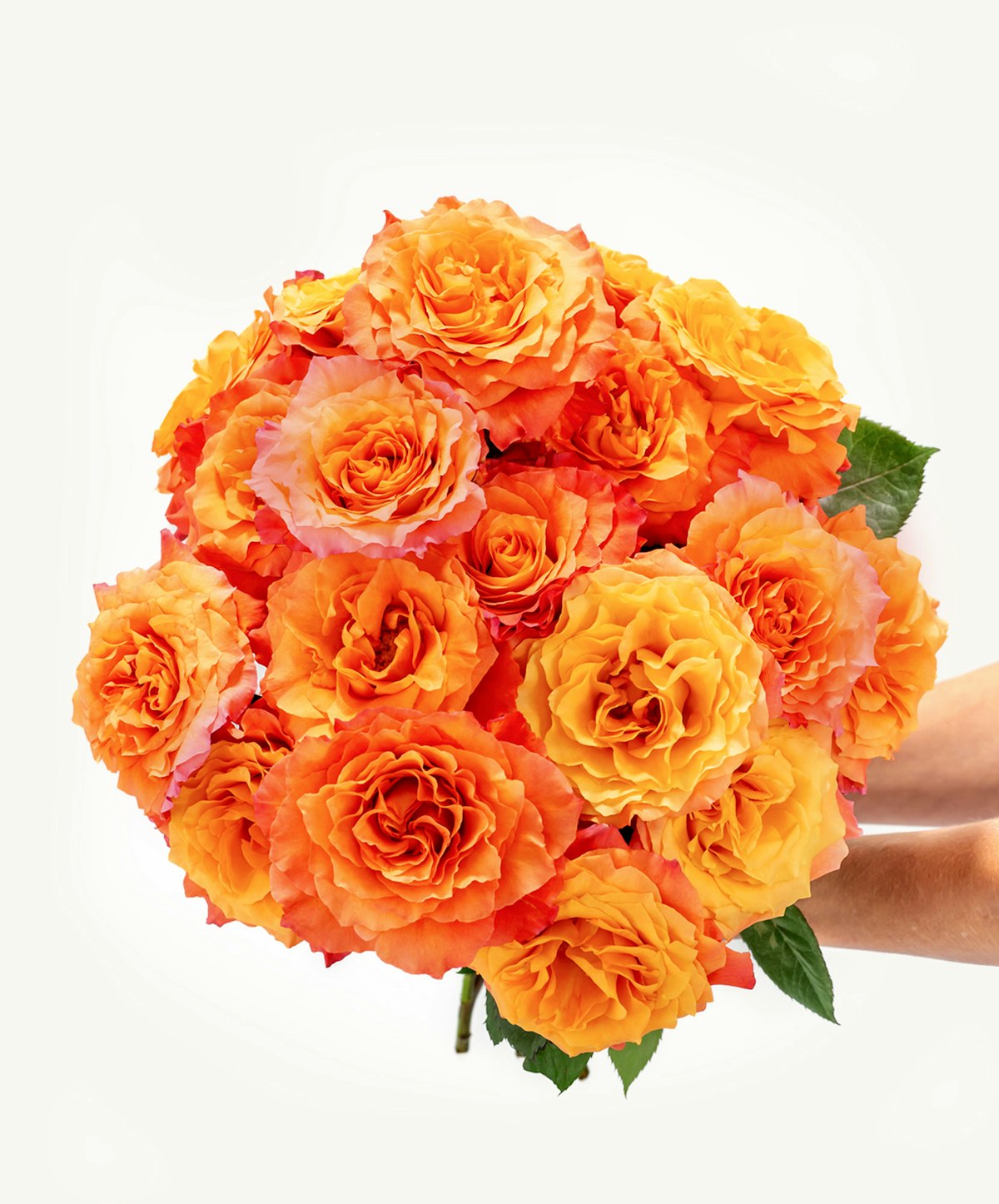 Free Spirited | Bi-color yellow/orange and pink roses | Fresh Flower ...