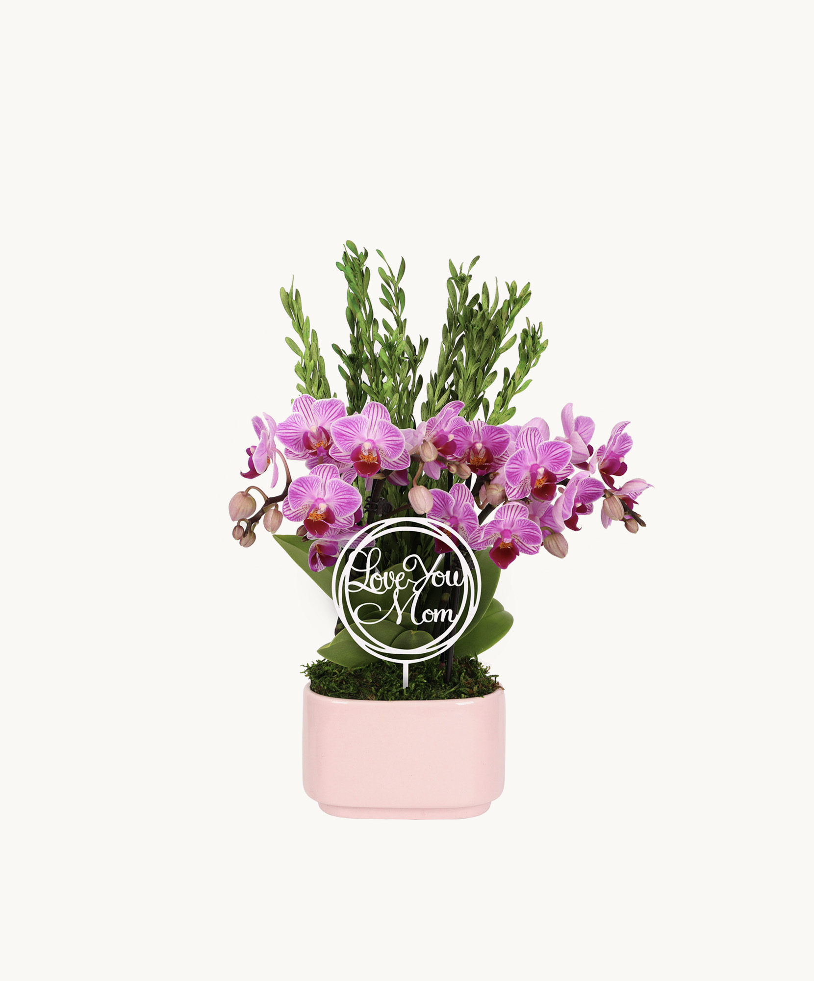 Vibrant pink orchids in a chic pink pot with a "Love You Mom" sign, perfect gift for mothers.