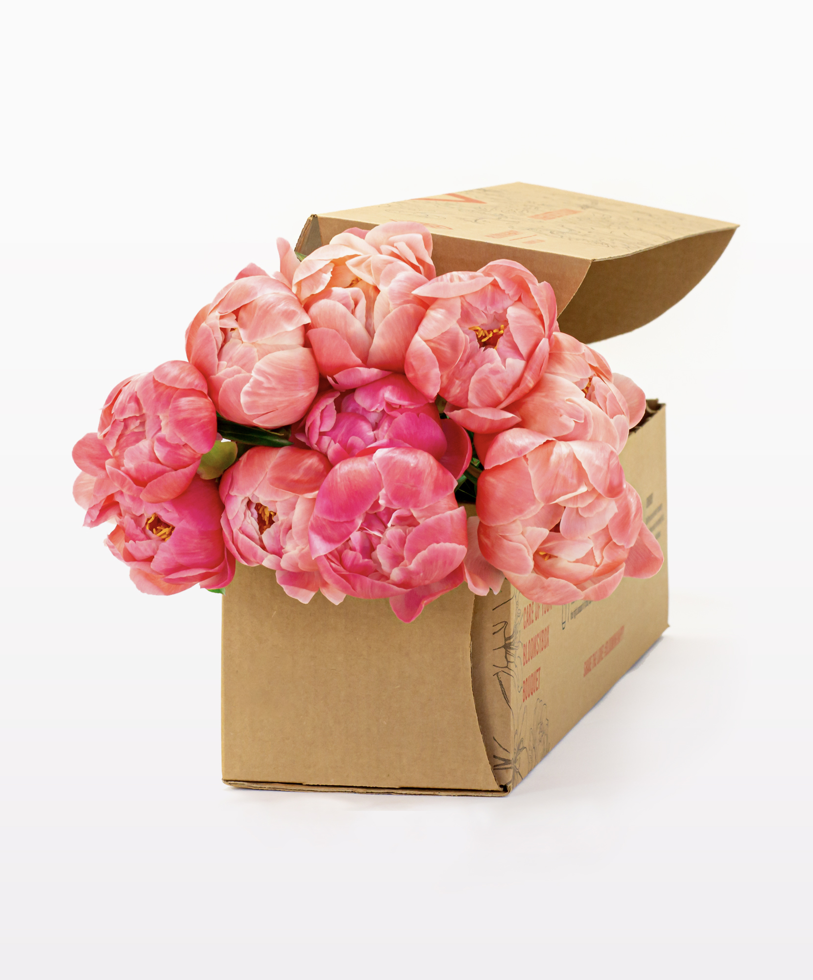 Coral Peonies Box