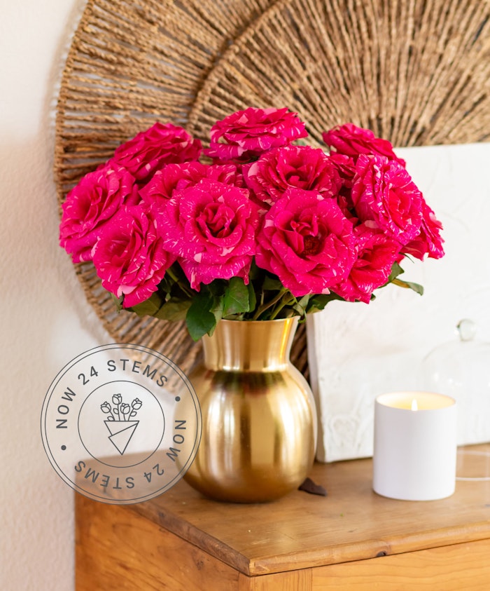 Vibrant pink roses elegantly arranged in a gold vase, perfect for brightening any space.