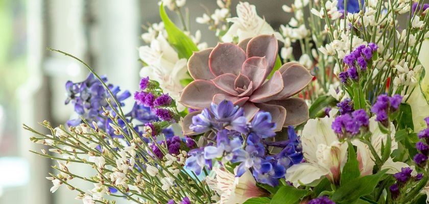 Vibrant floral arrangement featuring blue flowers and a striking succulent centerpiece.