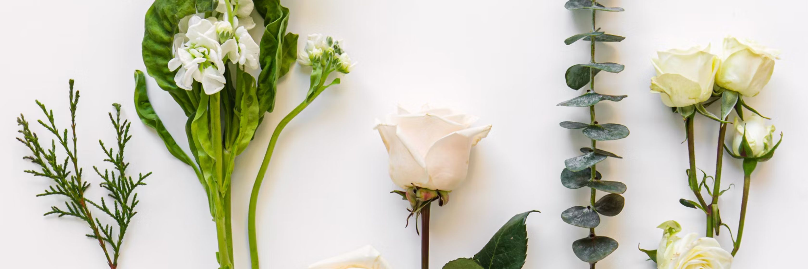 Delicate arrangement of white roses and fresh greenery for a modern floral design.