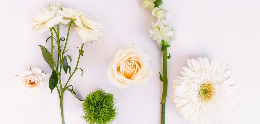 Elegant arrangement of white roses, green moss, and delicate flowers on a clean background.
