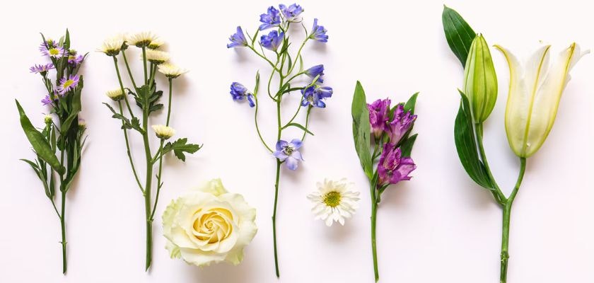 A variety of fresh flowers including roses, lilies, and daisies arranged elegantly.