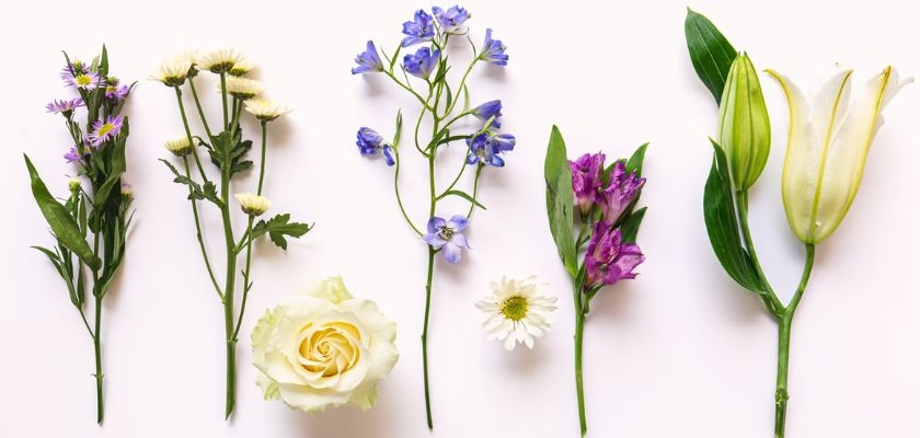 A variety of fresh flowers including roses, lilies, and daisies arranged elegantly.