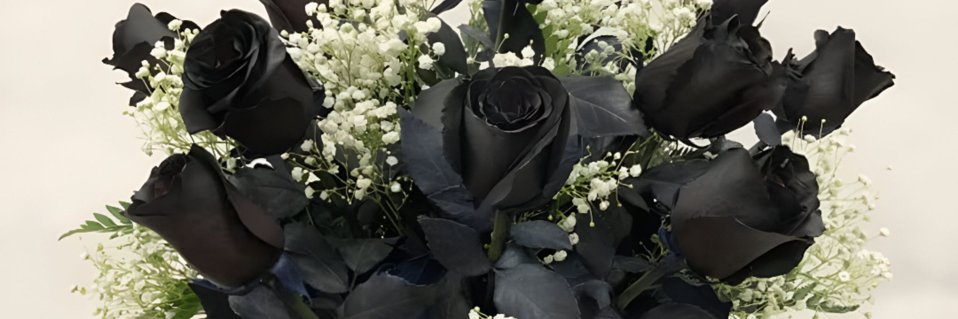 Black roses elegantly arranged with delicate white baby's breath and green foliage.