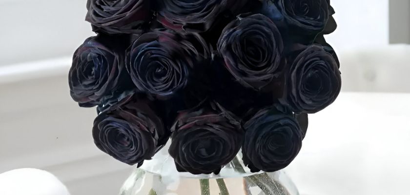 Elegant bouquet of deep black roses in a clear vase, perfect for unique floral decor.