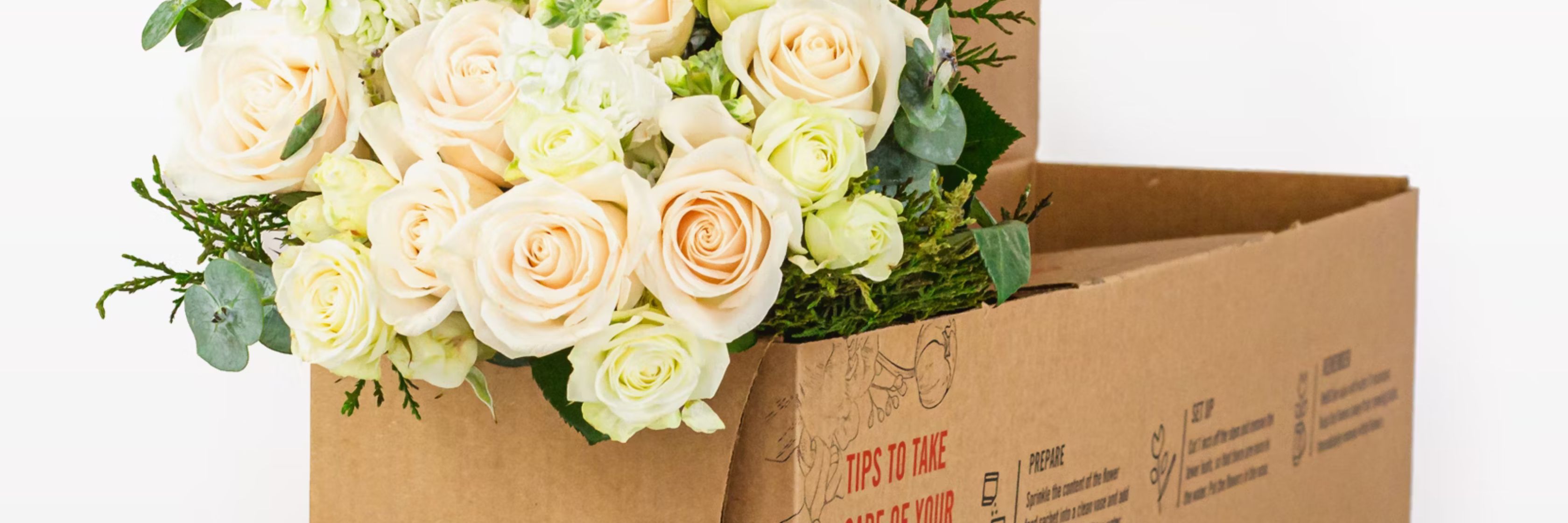Elegant bouquet of soft peach and cream roses packaged in a stylish gift box.