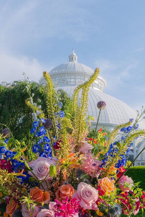 NYBG Orchids