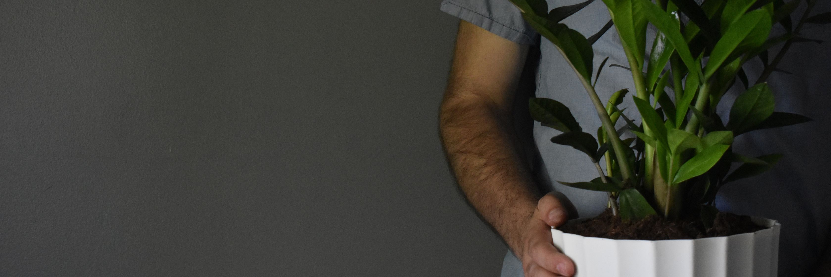A person holding a vibrant indoor plant in a modern white pot against a dark backdrop.