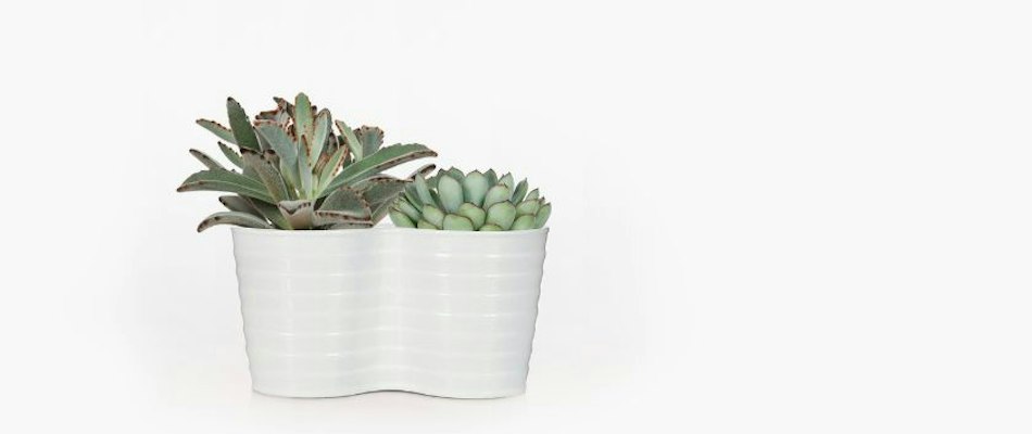 A modern white planter featuring a vibrant arrangement of decorative succulents.