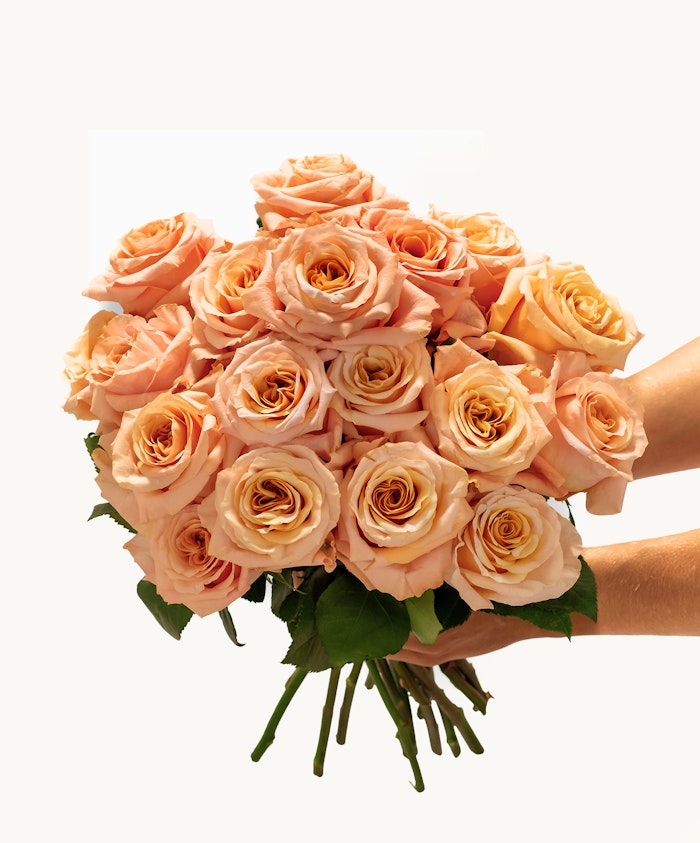 A beautiful bouquet of peach roses, elegantly held and ready for a special occasion.