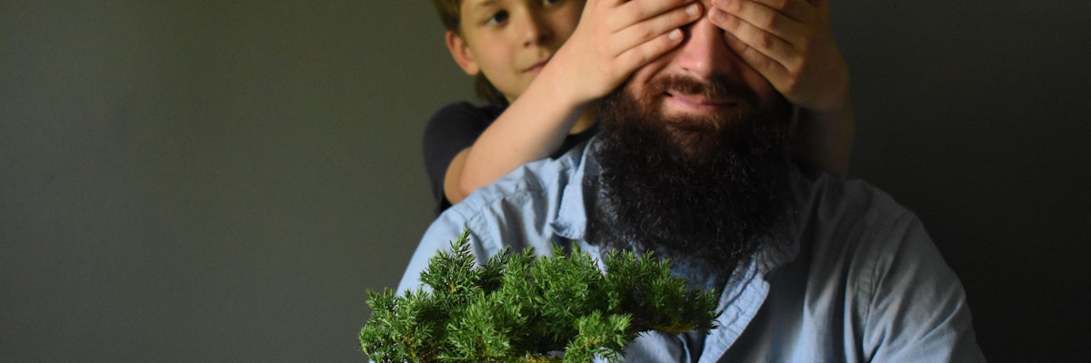 A child playfully covering a man's eyes while he holds a small bonsai tree.