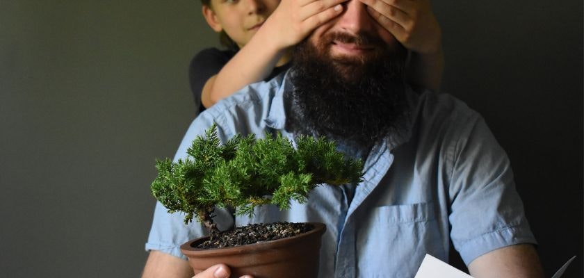 A joyful moment with a child playfully covering a man's eyes as he holds a bonsai tree.