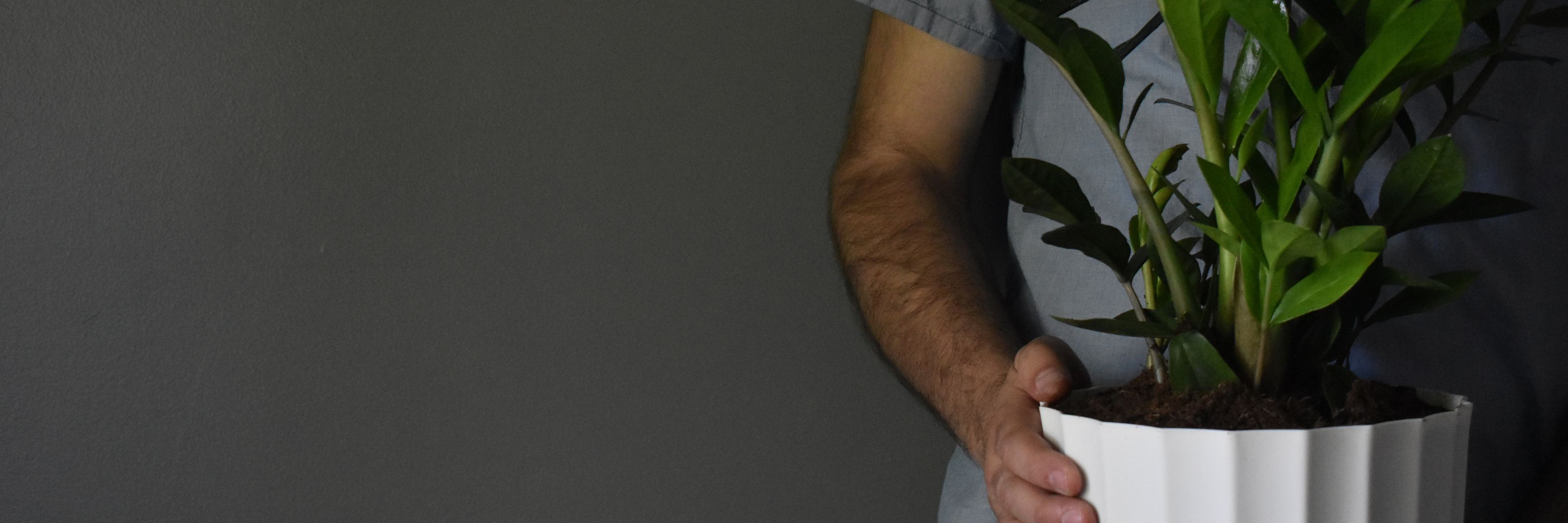 Person holding a lush green plant in a modern white pot against a dark background.