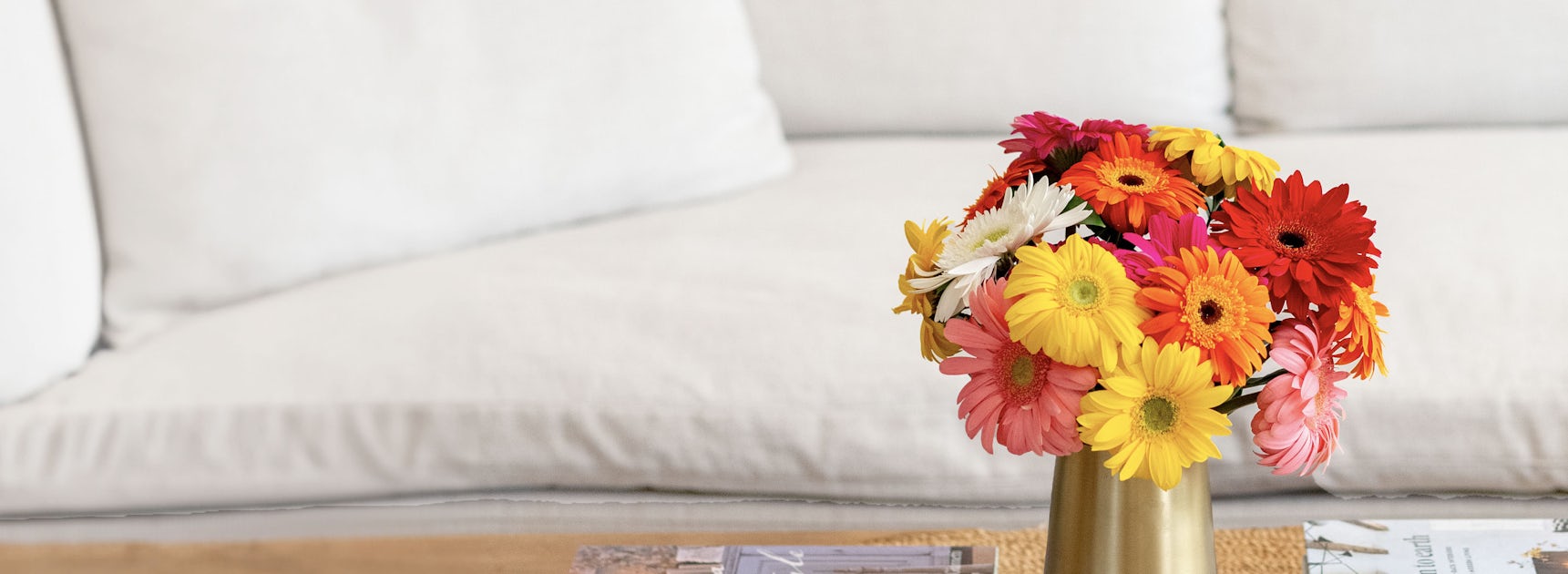 Bright and cheerful gerbera daisies in various colors, arranged in a stylish vase on a table.