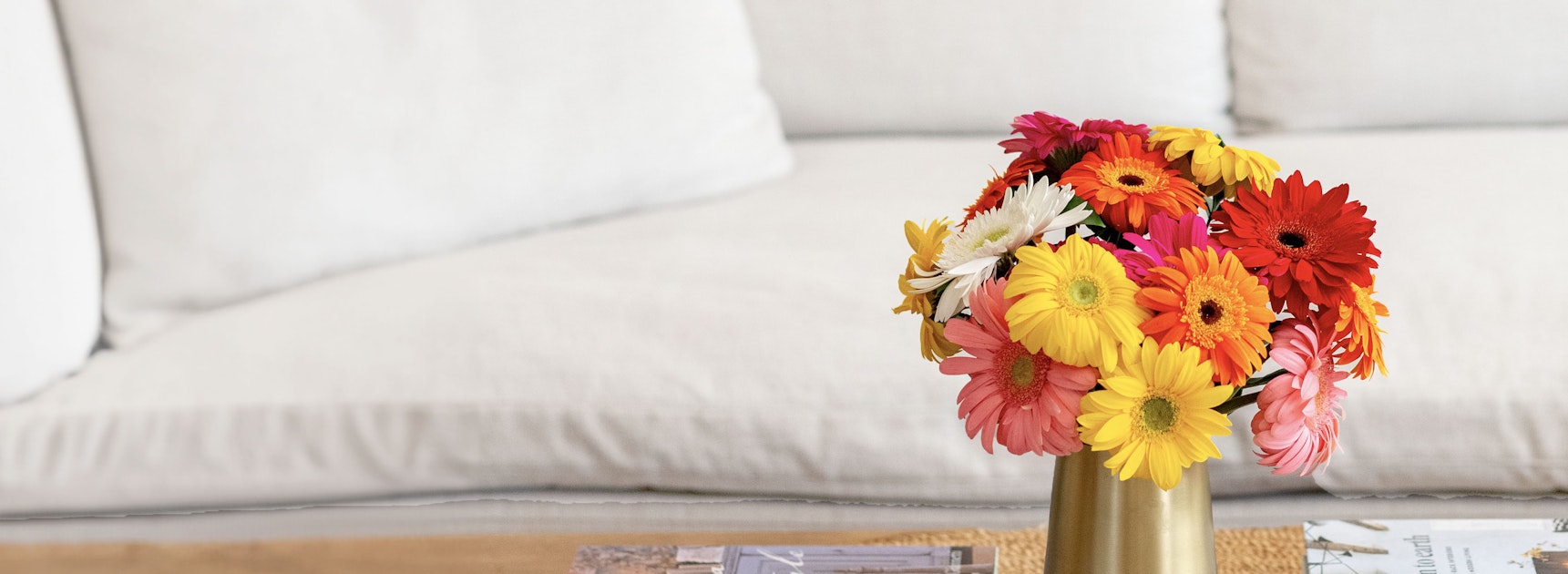 Bright and cheerful gerbera daisies in various colors, arranged in a stylish vase on a table.