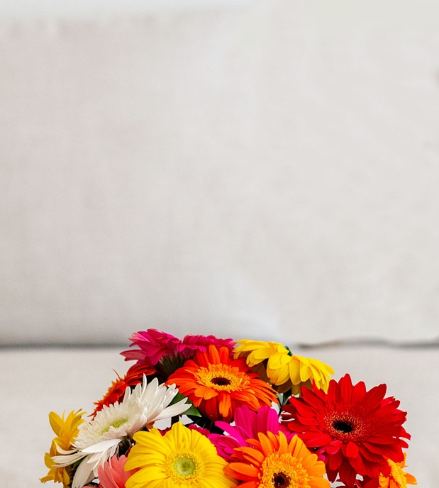 Vibrant floral arrangement featuring mixed daisies in cheerful colors on a soft backdrop.