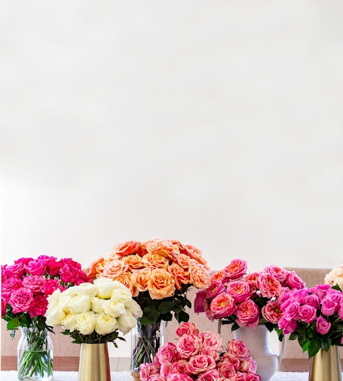 Vibrant display of multicolored rose bouquets in elegant vases, perfect for gifting.