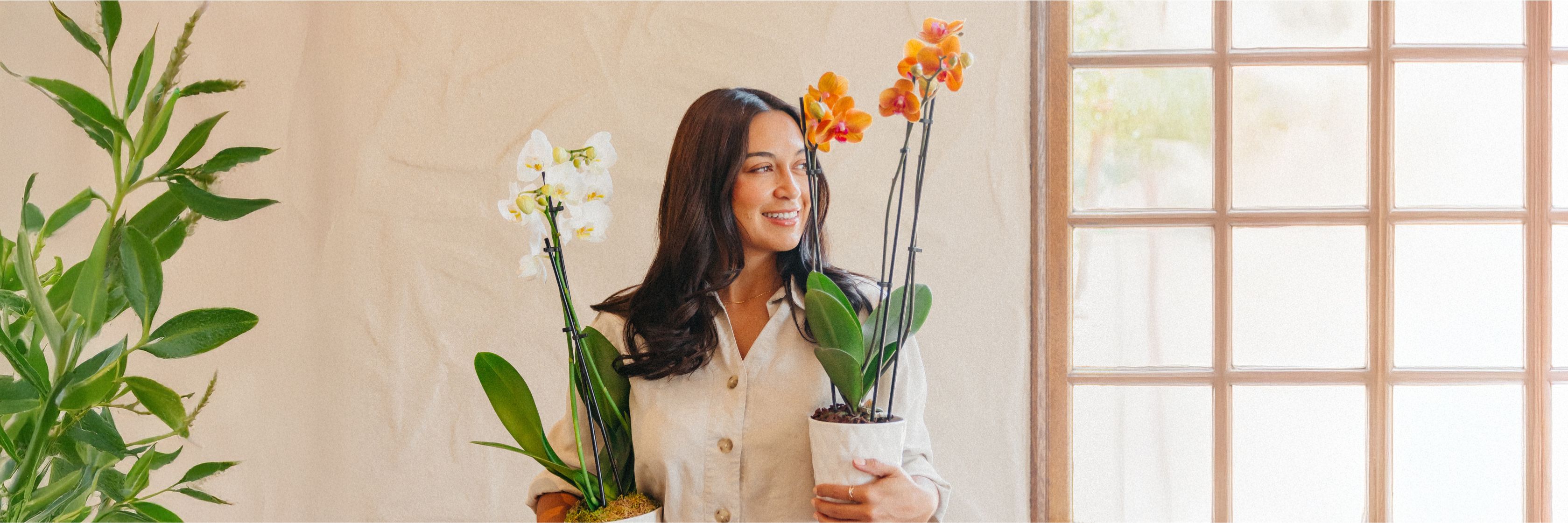 A woman smiles while holding two vibrant orchid plants near a sunny window.