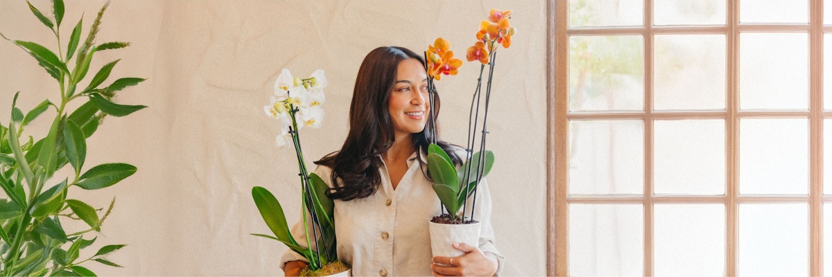 A woman smiles while holding two vibrant orchid plants near a sunny window.