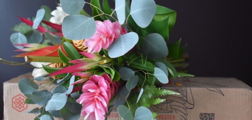 Vibrant floral arrangement featuring pink flowers and green eucalyptus leaves, perfect for gifting.