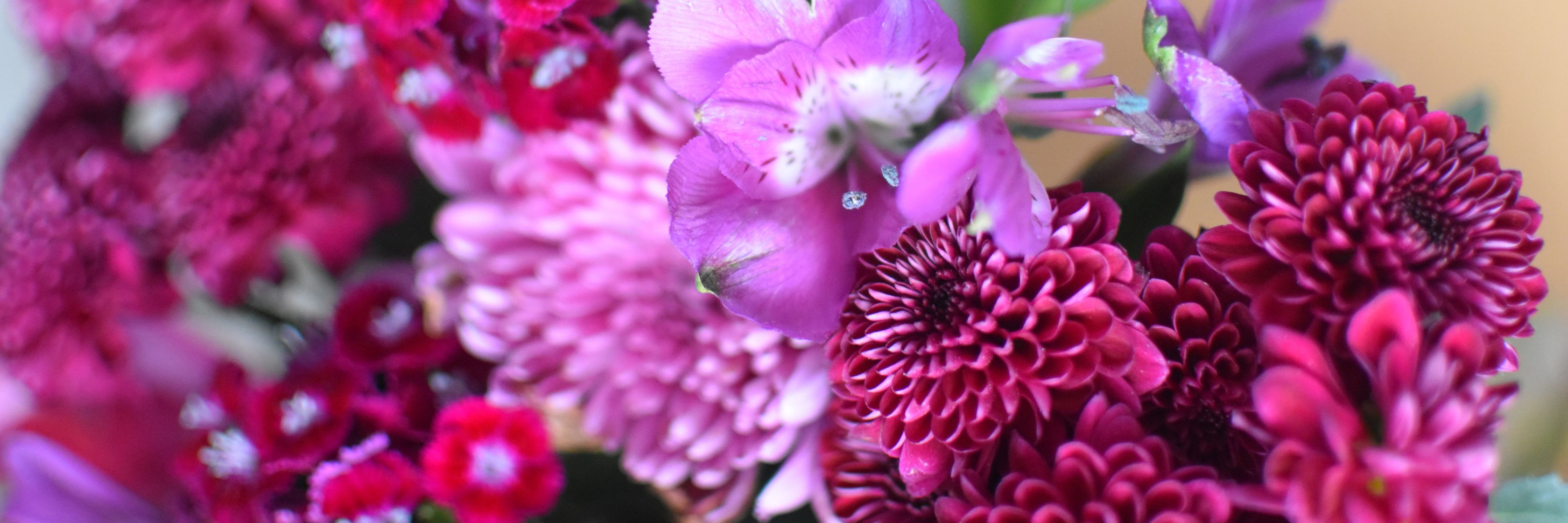 Vibrant bouquet featuring shades of pink and purple chrysanthemums and delicate blooms.
