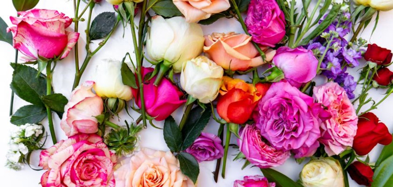 Vibrant floral arrangement featuring various colorful roses and blooms on a white backdrop.