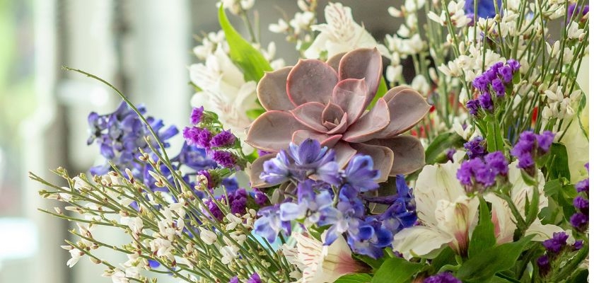 Vibrant floral arrangement featuring purple flowers, succulents, and lush greenery.