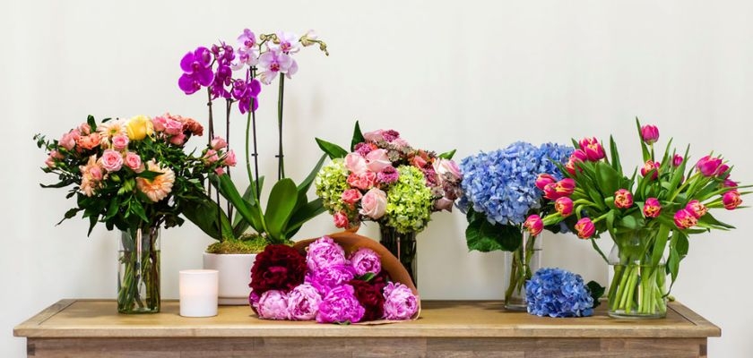 A vibrant display of mixed flowers in vases, perfect for home décor or gifting.