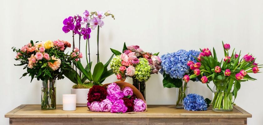 A vibrant display of mixed flowers in vases, perfect for home décor or gifting.