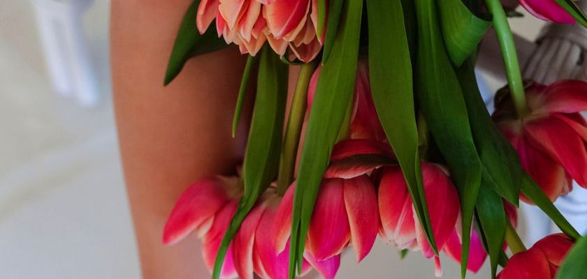 Vibrant bouquet of pink tulips with lush green leaves, perfect for spring celebrations.