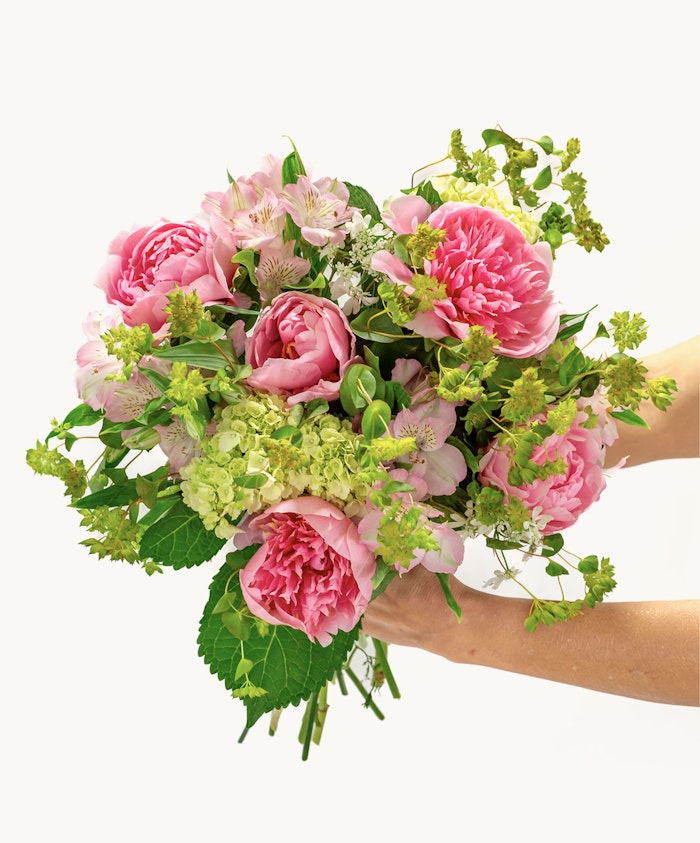 A lush bouquet featuring pink peonies, alstroemeria, and fresh greenery, elegantly held.