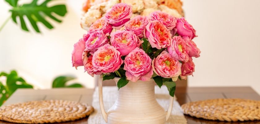 Charming pink roses in a white vase, creating a vibrant centerpiece on a dining table.
