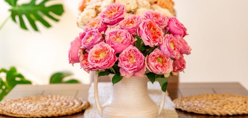 Charming pink roses in a white vase, creating a vibrant centerpiece on a dining table.