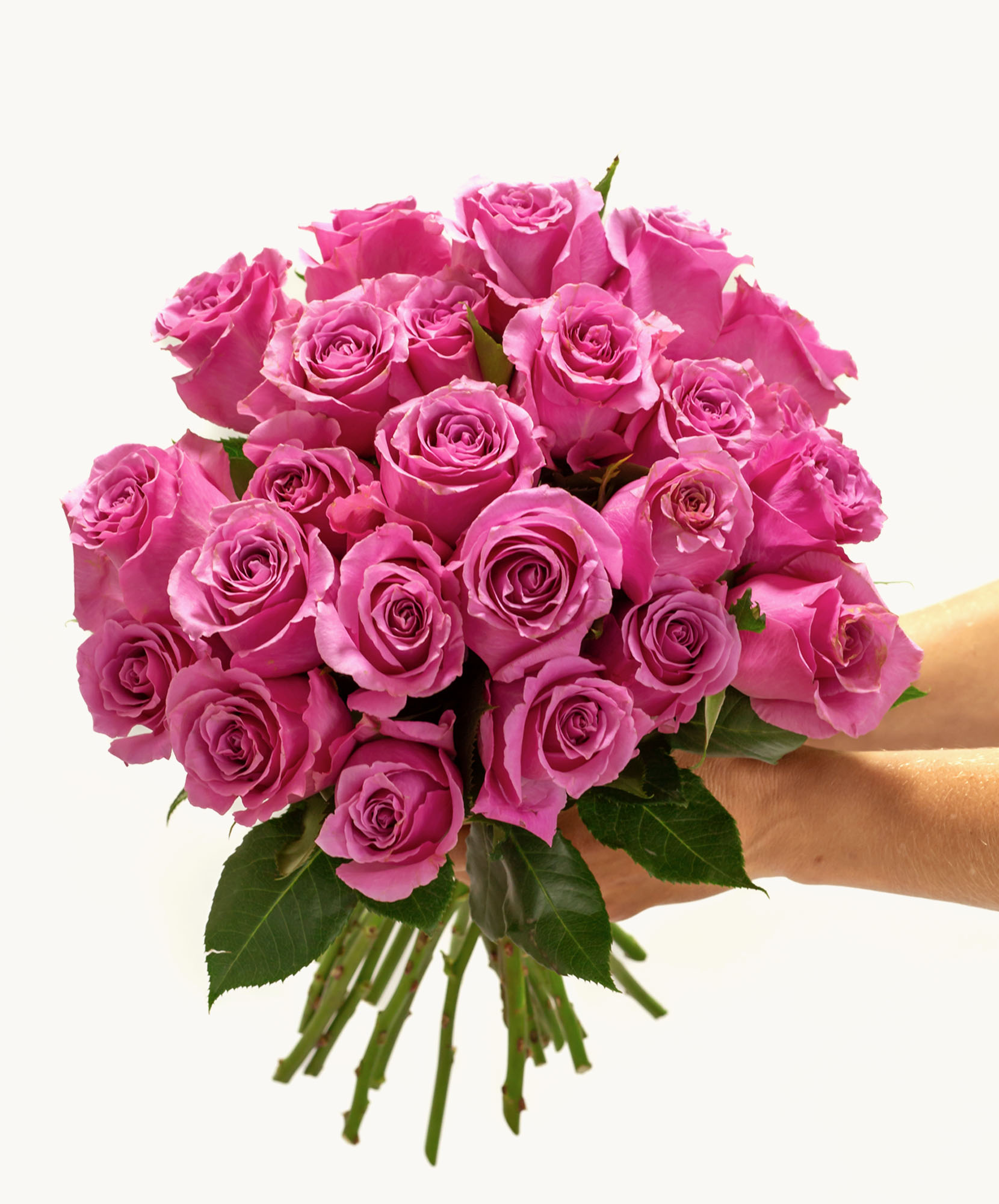 A vibrant bouquet of pink roses held gracefully, perfect for special celebrations.