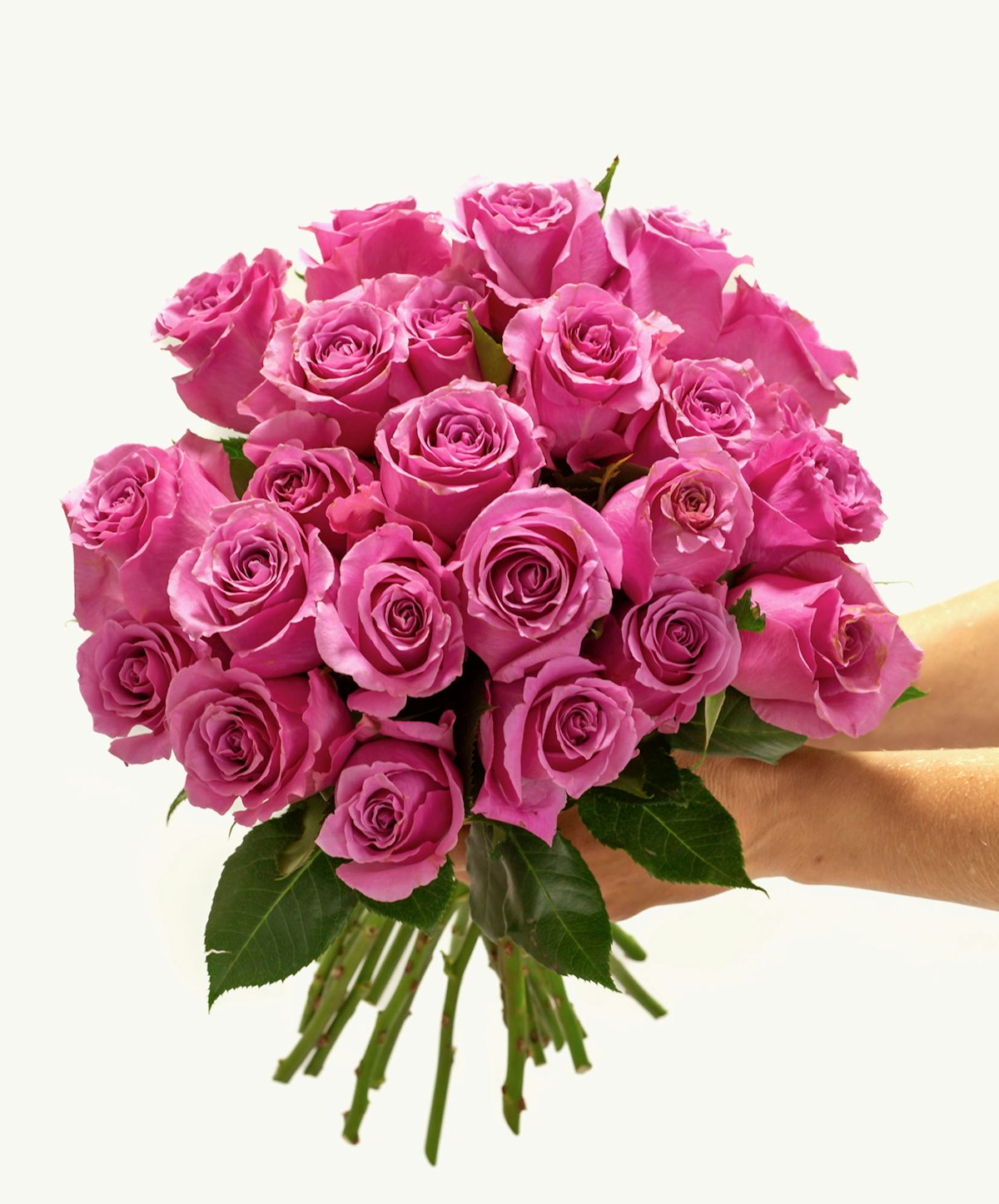 Finesst Roses Sweet Rose – Elegant Floral Gift | BloomsyBox